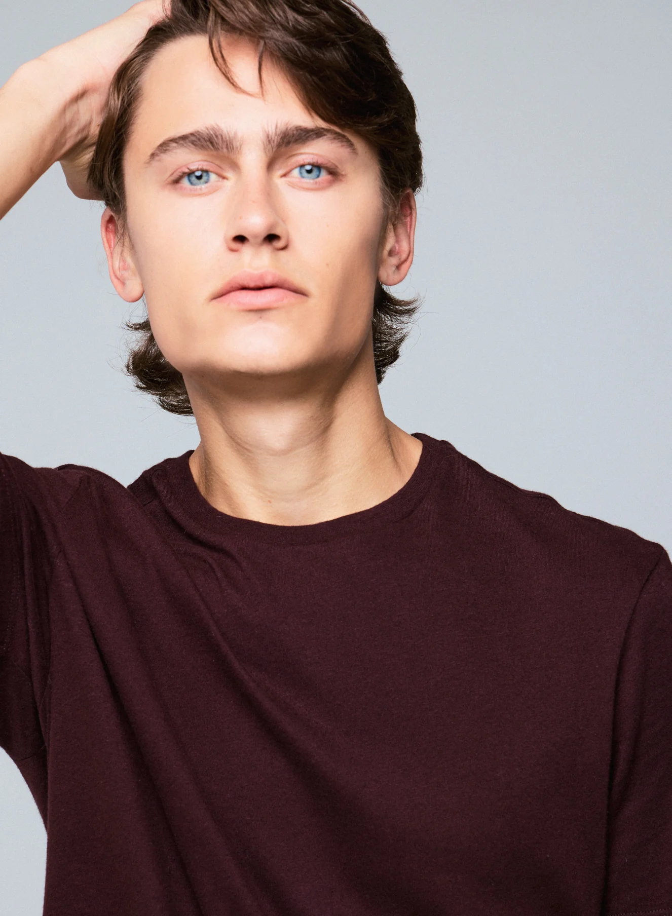T-shirt Aubergine Col Rond Manches Courtes en Coton et Cachemire - Image 3