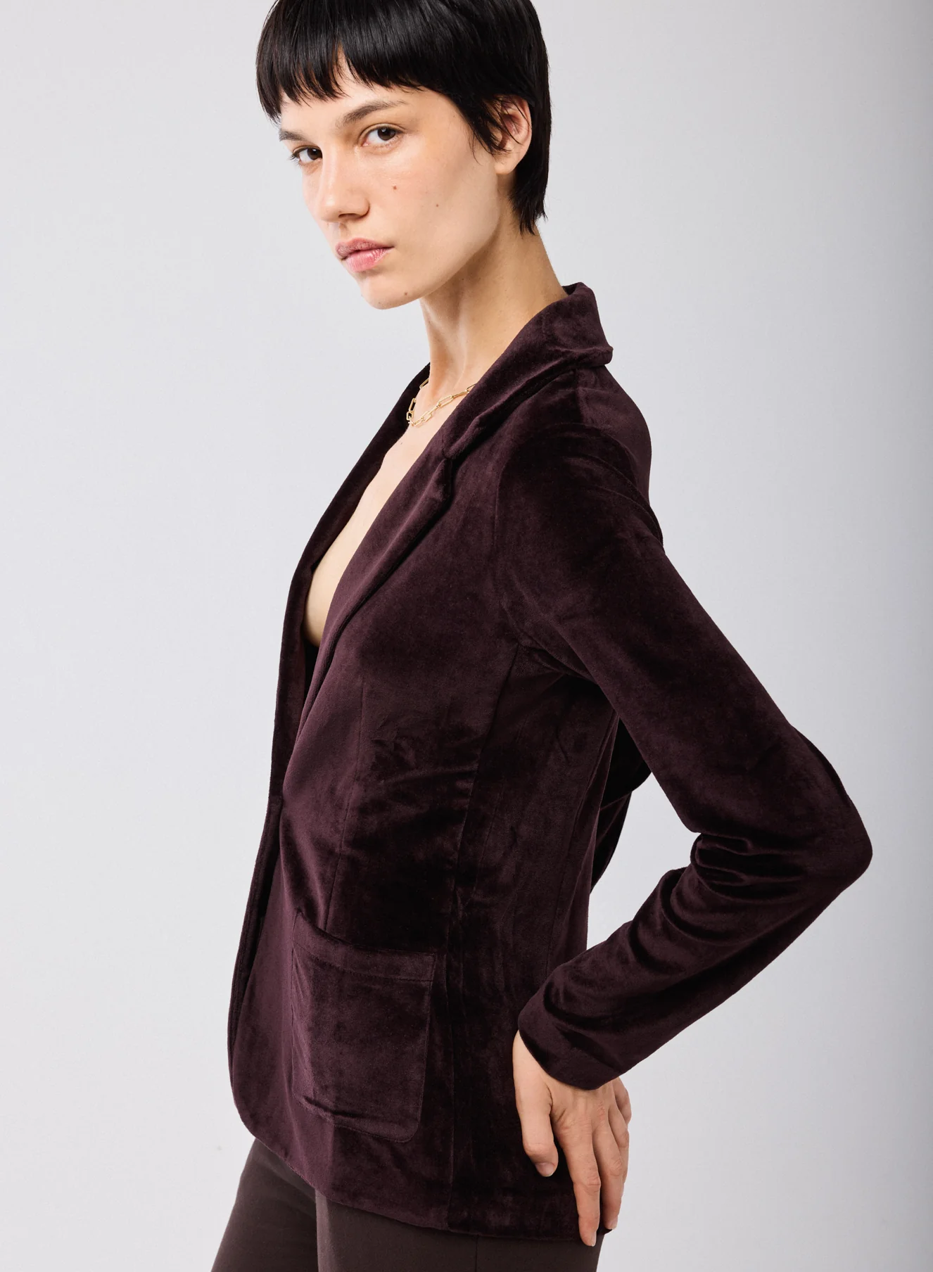 Veste Aubergine Manches Longues en Velours - Image 3